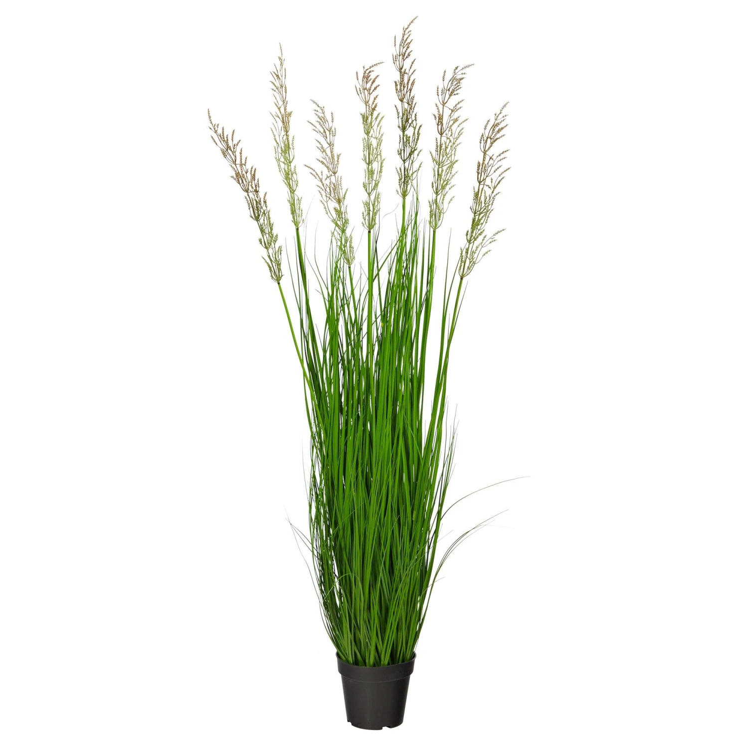 4.5’ Artificial Plum Grass Plant 1 4.5’ Artificial Plum Grass Plant
