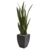 4.5’ Sansevieria Artificial Plant In Black Planter