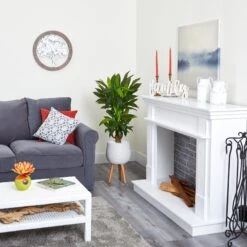 46” Corn Stalk Dracaena Artificial Plant In White Planter With Stand (Real Touch) -Artificial Trees Store artificial 46 corn stalk dracaena artificial plant in white planter with stand real touch nearly natural 298424