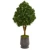 49” Tea Leaf Artificial Tree In Metal Planter (Indoor/Outdoor)
