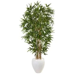 5’ Bamboo Tree In Oval White Planter