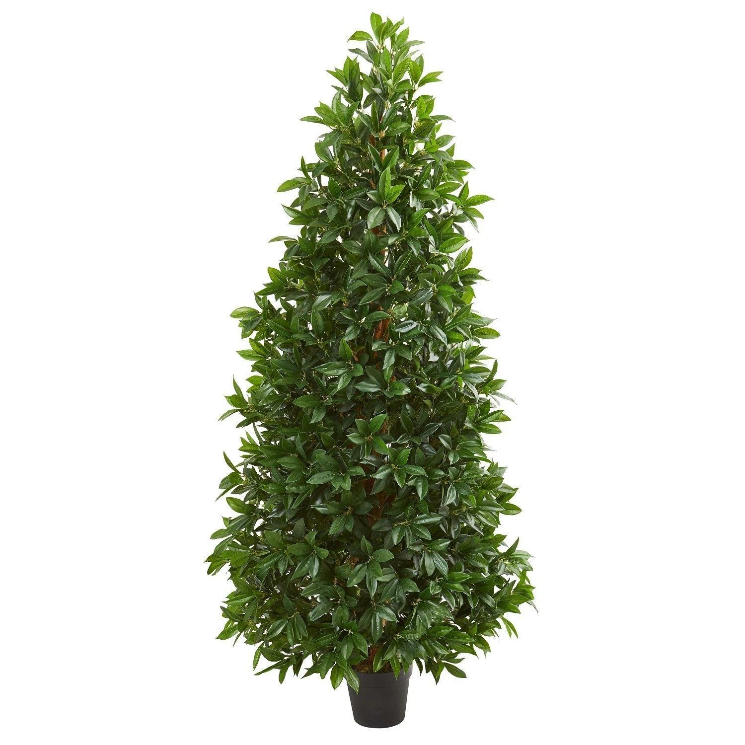 5’ Bay Leaf Cone Topiary Artificial Tree UV Resistant (Indoor/Outdoor) 1 5’ Bay Leaf Cone Topiary Artificial Tree UV Resistant (Indoor/Outdoor)