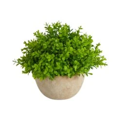 5” Boxwood Artificial Plant In Decorative Planter
