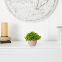 5” Boxwood Artificial Plant In Decorative Planter -Artificial Trees Store artificial 5 boxwood artificial plant in decorative planter nearly natural 967230