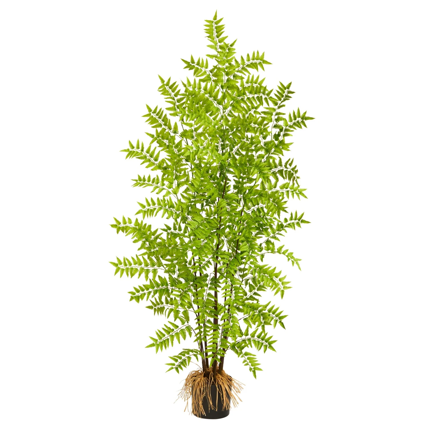 5’ Bracken Fern Artificial Tree 1 5’ Bracken Fern Artificial Tree