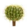 8” Cactus Succulent Artificial Plant (Set Of 4)