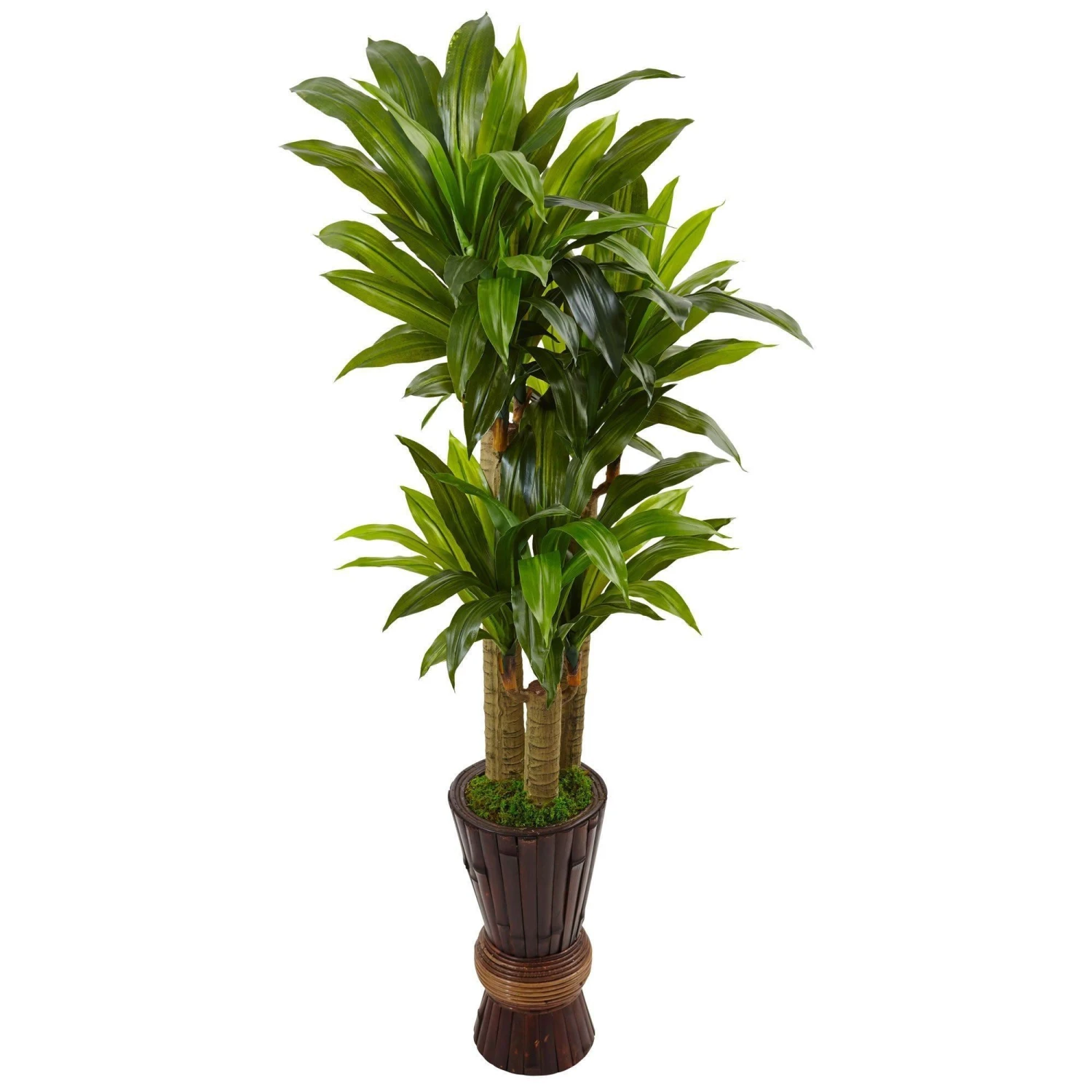 5’ Cornstalk Dracaena Artificial Plant In Planter (Real Touch) 1 5’ Cornstalk Dracaena Artificial Plant In Planter (Real Touch)