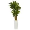 5' Cornstalk Dracaena Artificial Plant In White Tower Planter