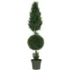 5' Cypress Ball And Cone Silk Tree (In-door/Out-door)
