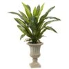 5’ Dracaena Plant With Urn (Real Touch)