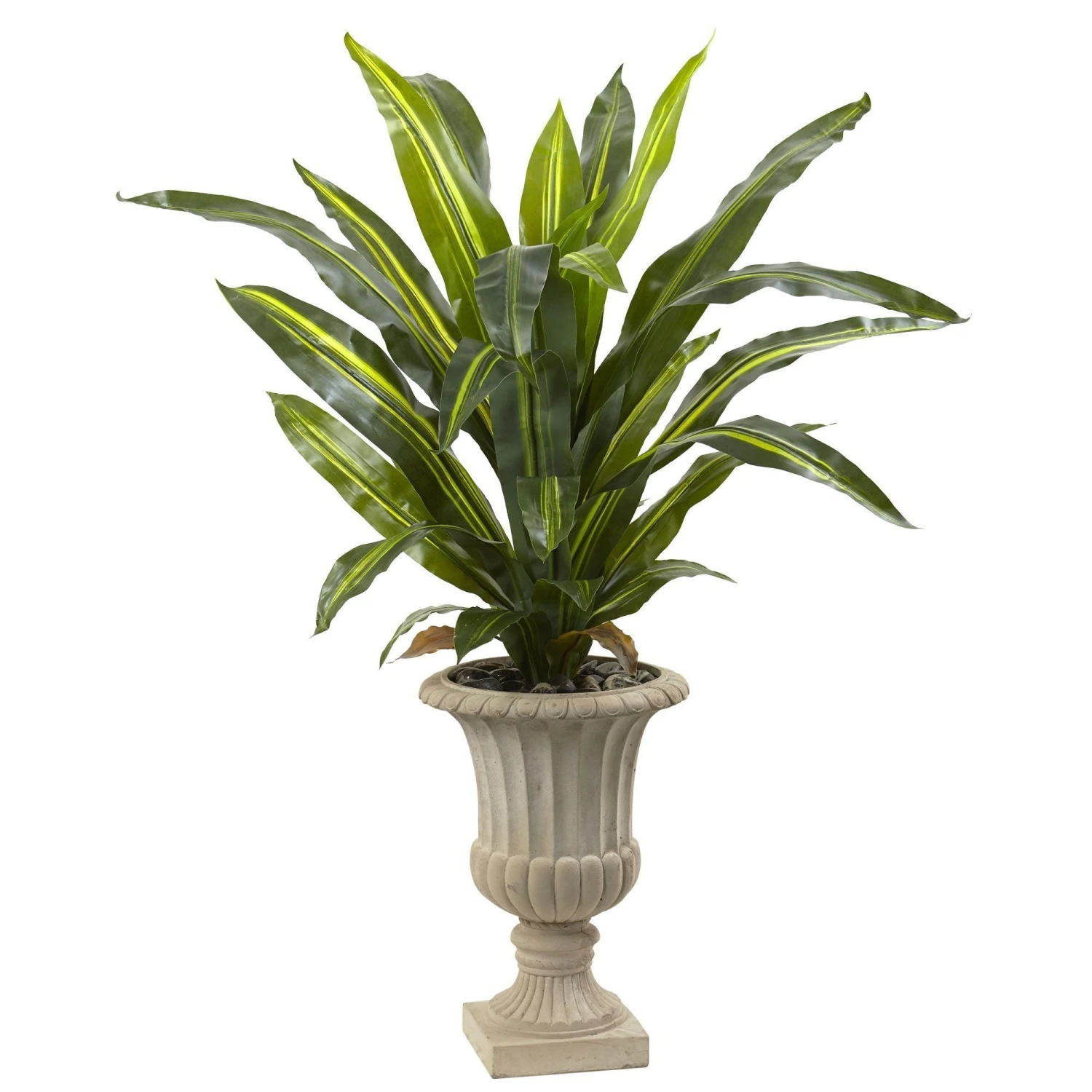 5’ Dracaena Plant With Urn (Real Touch) 1 5’ Dracaena Plant With Urn (Real Touch)