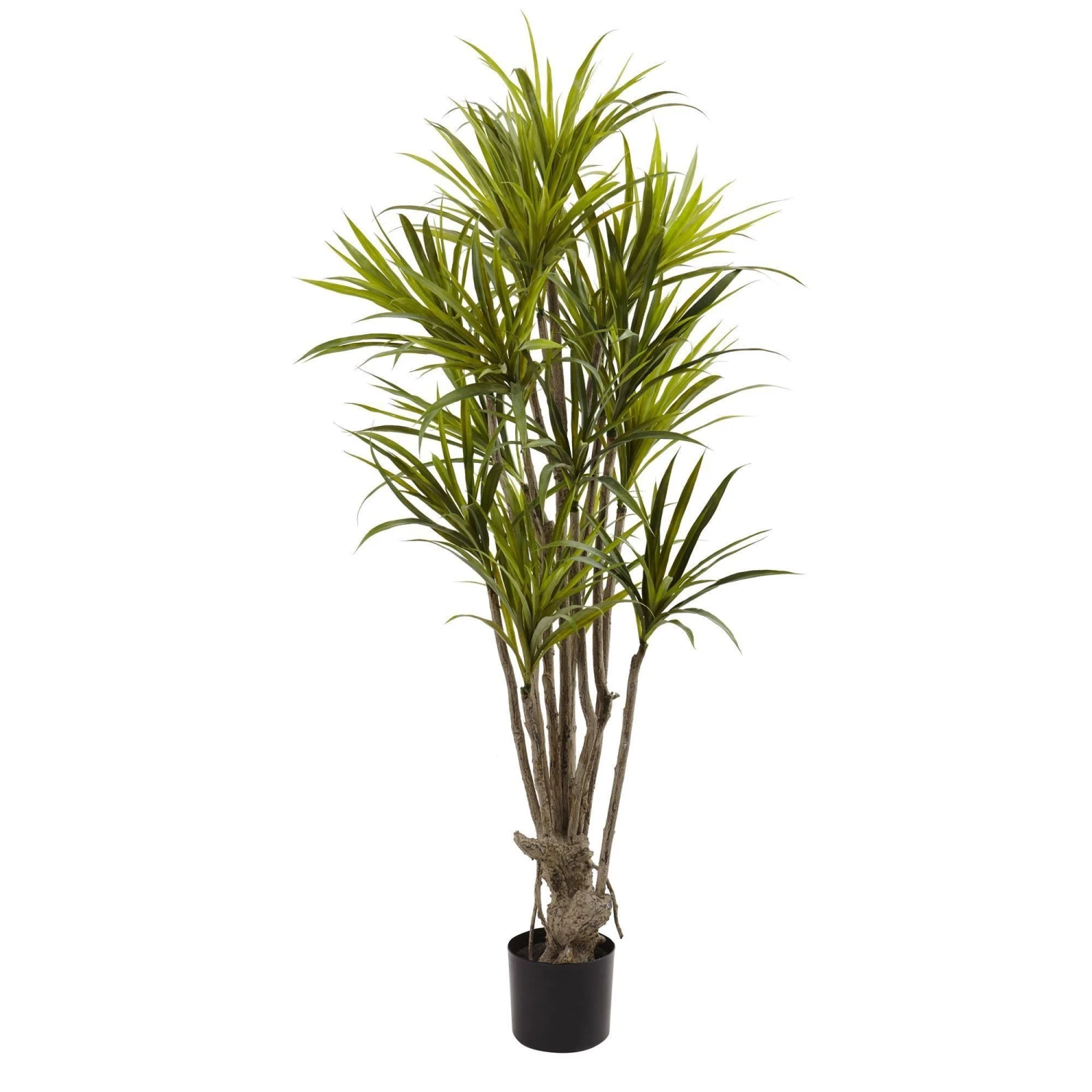 5’ Dracaena Silk Tree 1 5’ Dracaena Silk Tree