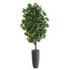 5’ Ficus Artificial Tree In Gray Planter