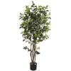 5' Ficus Bushy Silk Tree