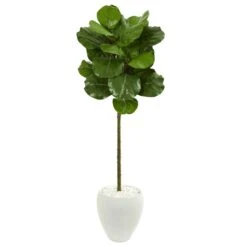 5’ Fiddle Leaf Artificial Tree In White Planter
