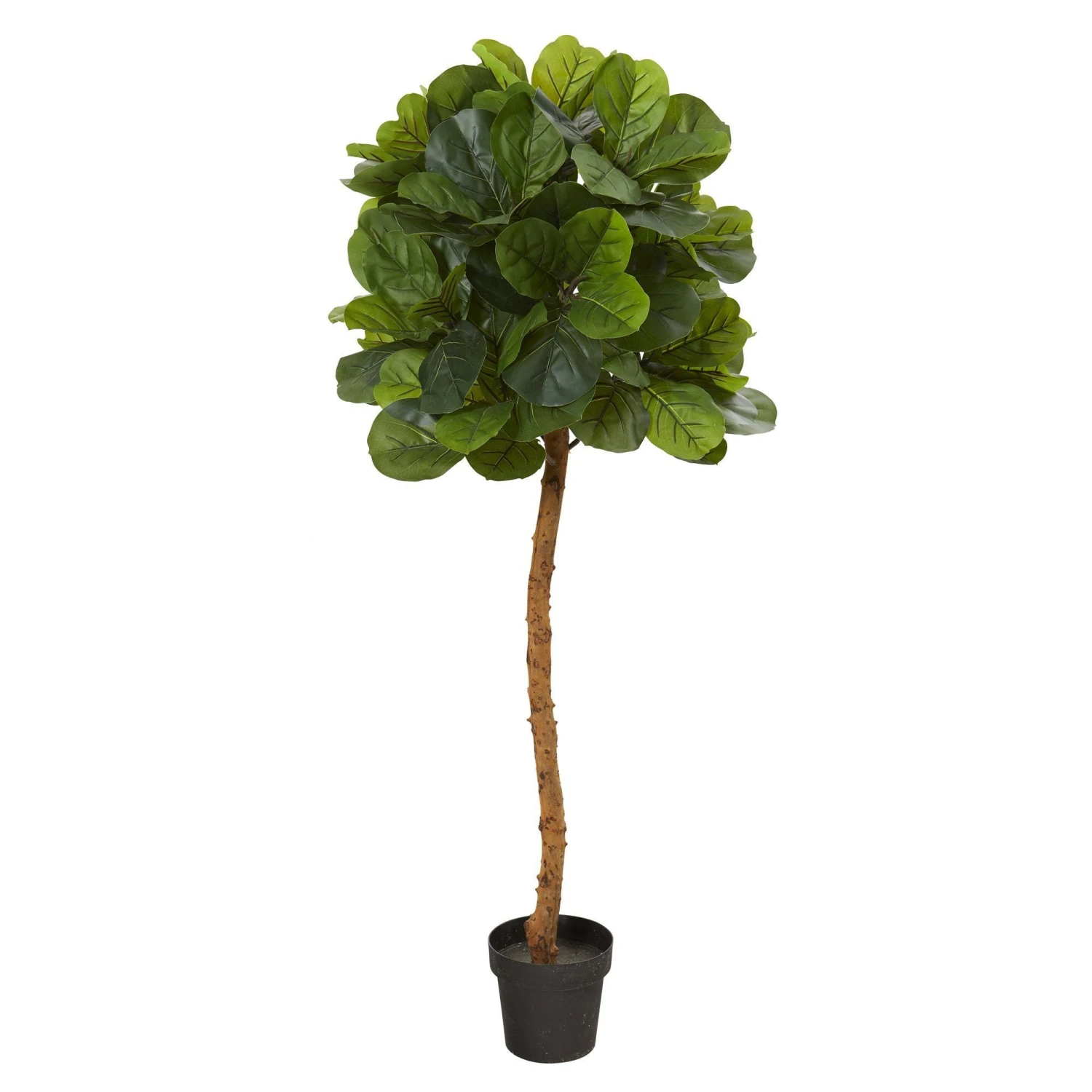 5’ Fiddle Leaf Artificial Tree (Real Touch) 1 5’ Fiddle Leaf Artificial Tree (Real Touch)