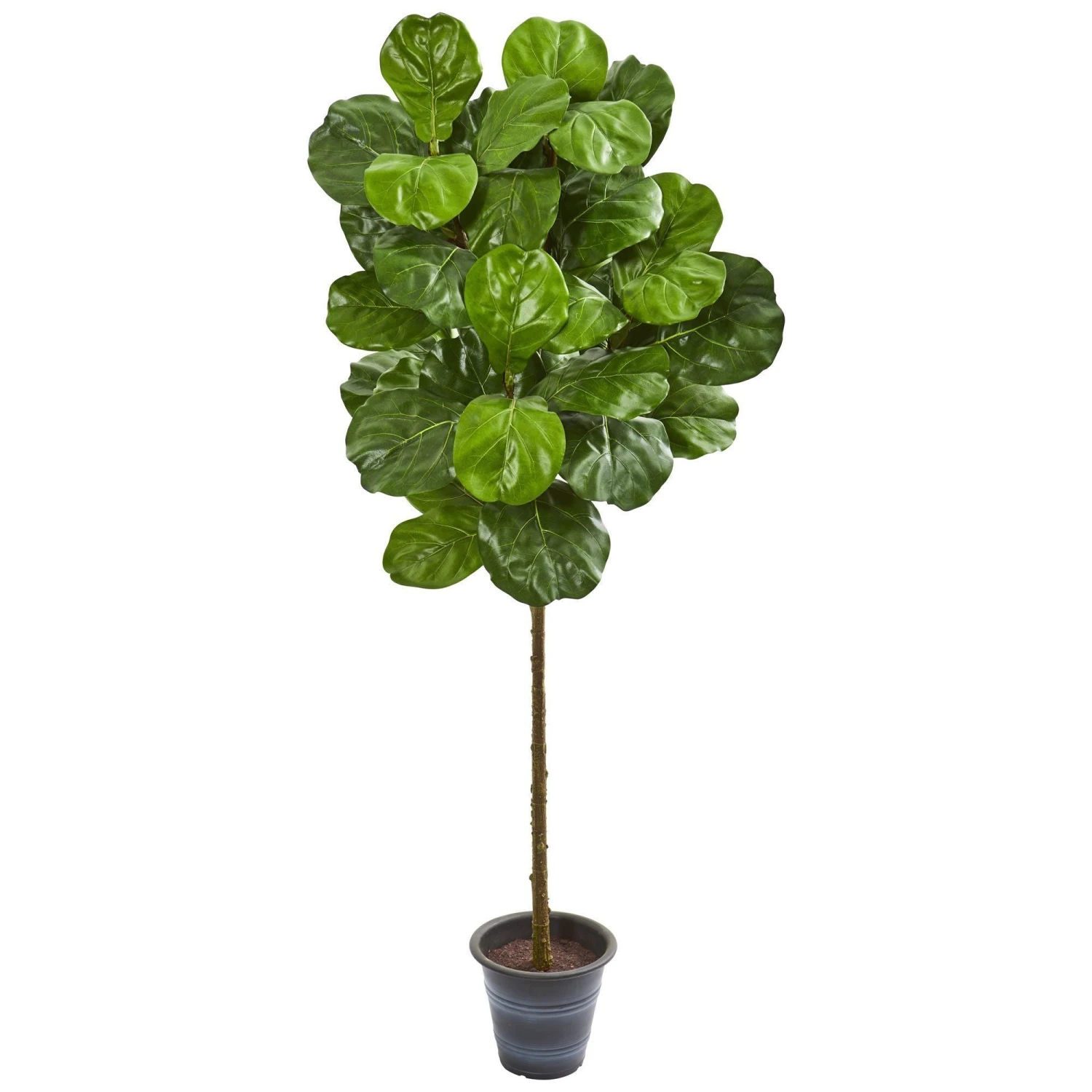 5’ Fiddle Leaf Artificial Tree With Decorative Planter 1 5’ Fiddle Leaf Artificial Tree With Decorative Planter