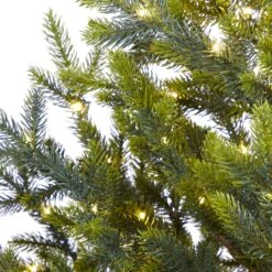 5’ Fraser Fir “Natural Look” Artificial Christmas Tree With 200 Clear LED Lights, A Burlap Base And 853 Bendable Branches 14 5’ Fraser Fir “Natural Look” Artificial Christmas Tree With 200 Clear LED Lights, A Burlap Base And 853 Bendable Branches -Artificial Trees Store artificial 5 fraser fir natural look artificial christmas tree with 200 clear led lights a burlap base and nearly natural 932076