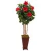 5’ Hibiscus Tree In Decorated Wooden Planter