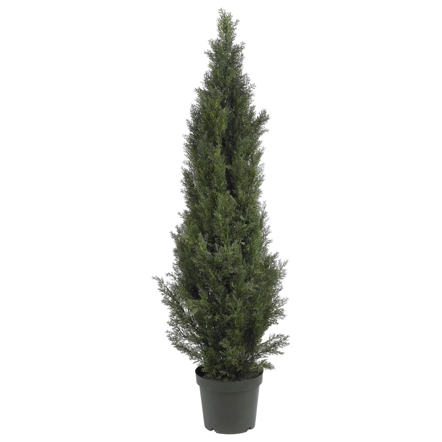 5' Mini Cedar Pine Tree (Indoor/Outdoor) 1 5' Mini Cedar Pine Tree (Indoor/Outdoor)