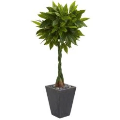 5’ Money Artificial Tree In Slate Planter (Real Touch)