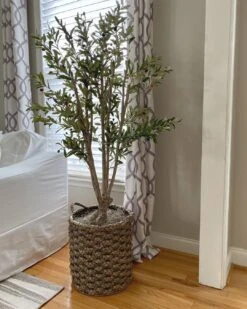 5' Olive Silk Tree 11 5' Olive Silk Tree -Artificial Trees Store artificial 5 olive silk tree nearly natural 572537