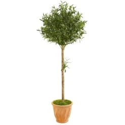 5’ Olive Topiary Artificial Tree In Terra Cotta Planter