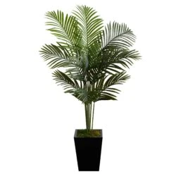5’ Paradise Palm Artificial Tree In Black Metal Planter