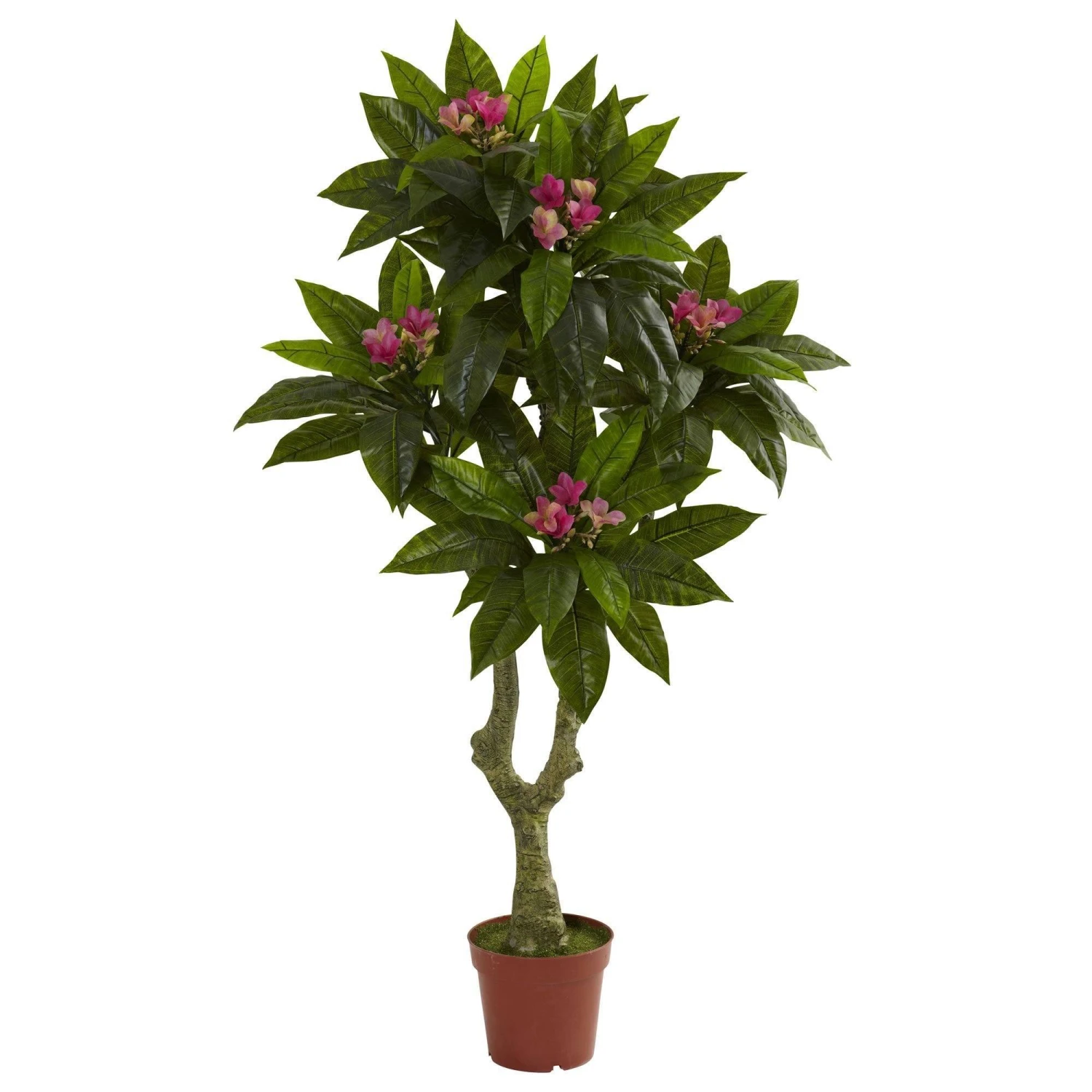5' Plumeria Tree UV Resistant (Indoor/Outdoor) 1 5' Plumeria Tree UV Resistant (Indoor/Outdoor)