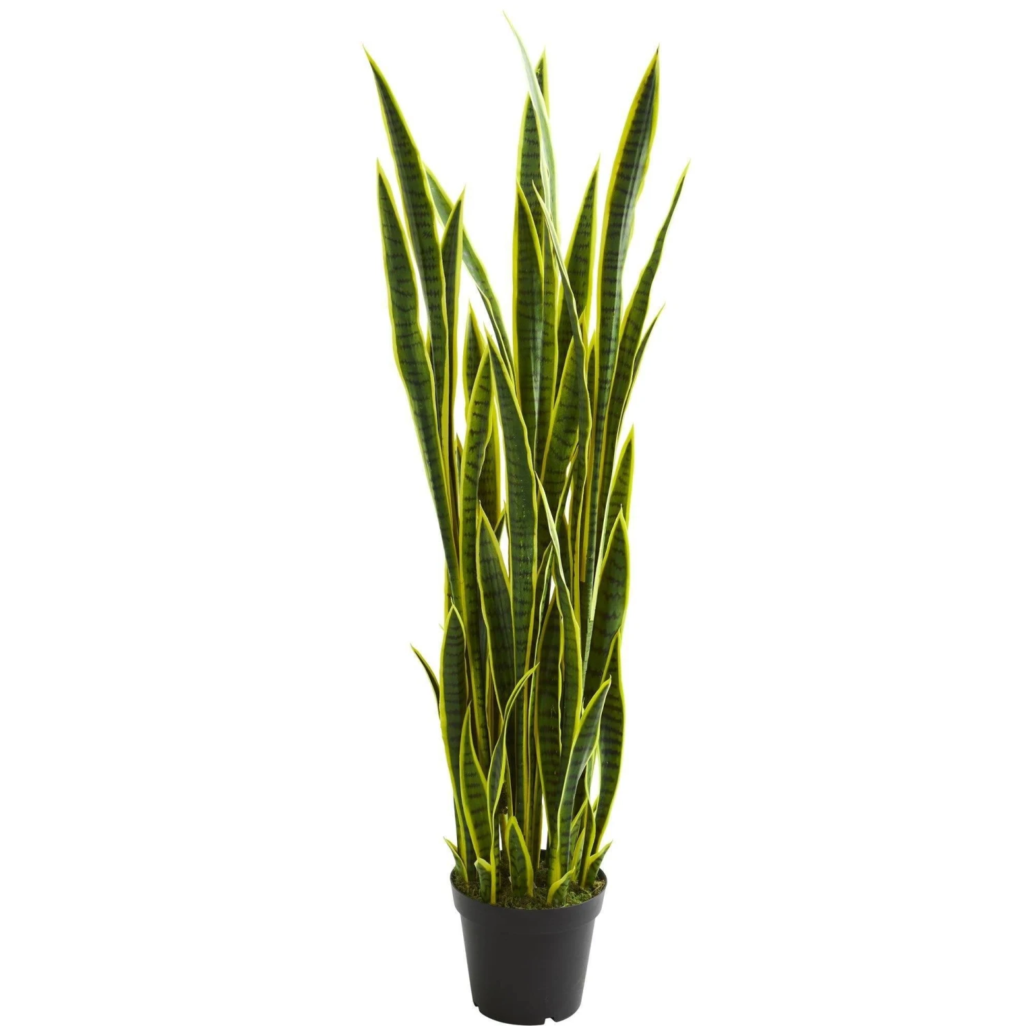 5’ Sansevieria Artificial Plant 1 5’ Sansevieria Artificial Plant