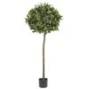 5' Sweet Bay Ball Topiary Silk Tree