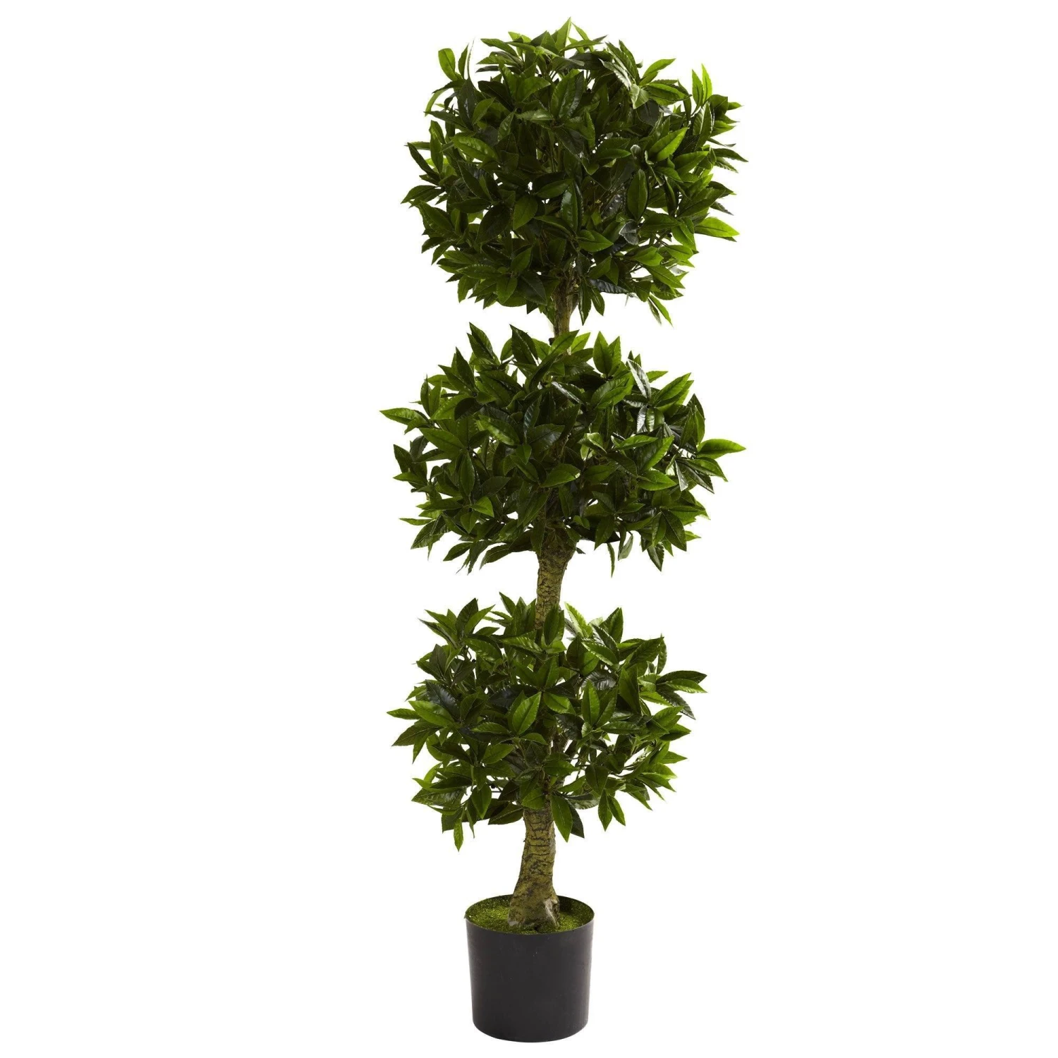 5' Triple Bay Leaf Topiary UV Resistant (Indoor/Outdoor) 1 5' Triple Bay Leaf Topiary UV Resistant (Indoor/Outdoor)