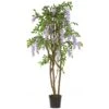 5' Wisteria Silk Tree