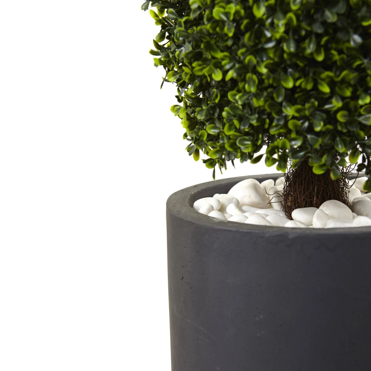 50” Boxwood Topiary With Gray Cylindrical Planter UV Resistant (Indoor/Outdoor) 2 50” Boxwood Topiary With Gray Cylindrical Planter UV Resistant (Indoor/Outdoor) - Image 2
