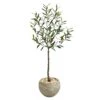 50” Olive Artificial Tree In Sand Colored Planter