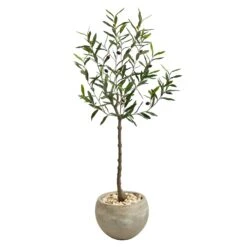 50” Olive Artificial Tree In Sand Colored Planter