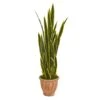 50” Sansevieria Artificial Plant In Terra Cotta Planter