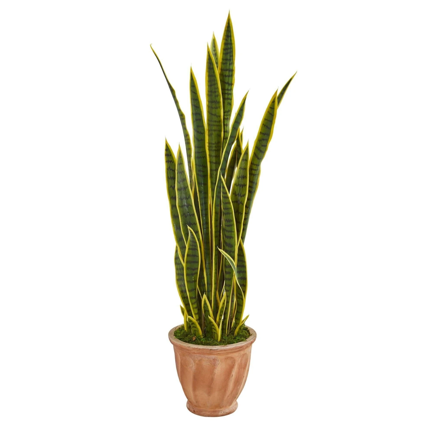 50” Sansevieria Artificial Plant In Terra Cotta Planter 1 50” Sansevieria Artificial Plant In Terra Cotta Planter