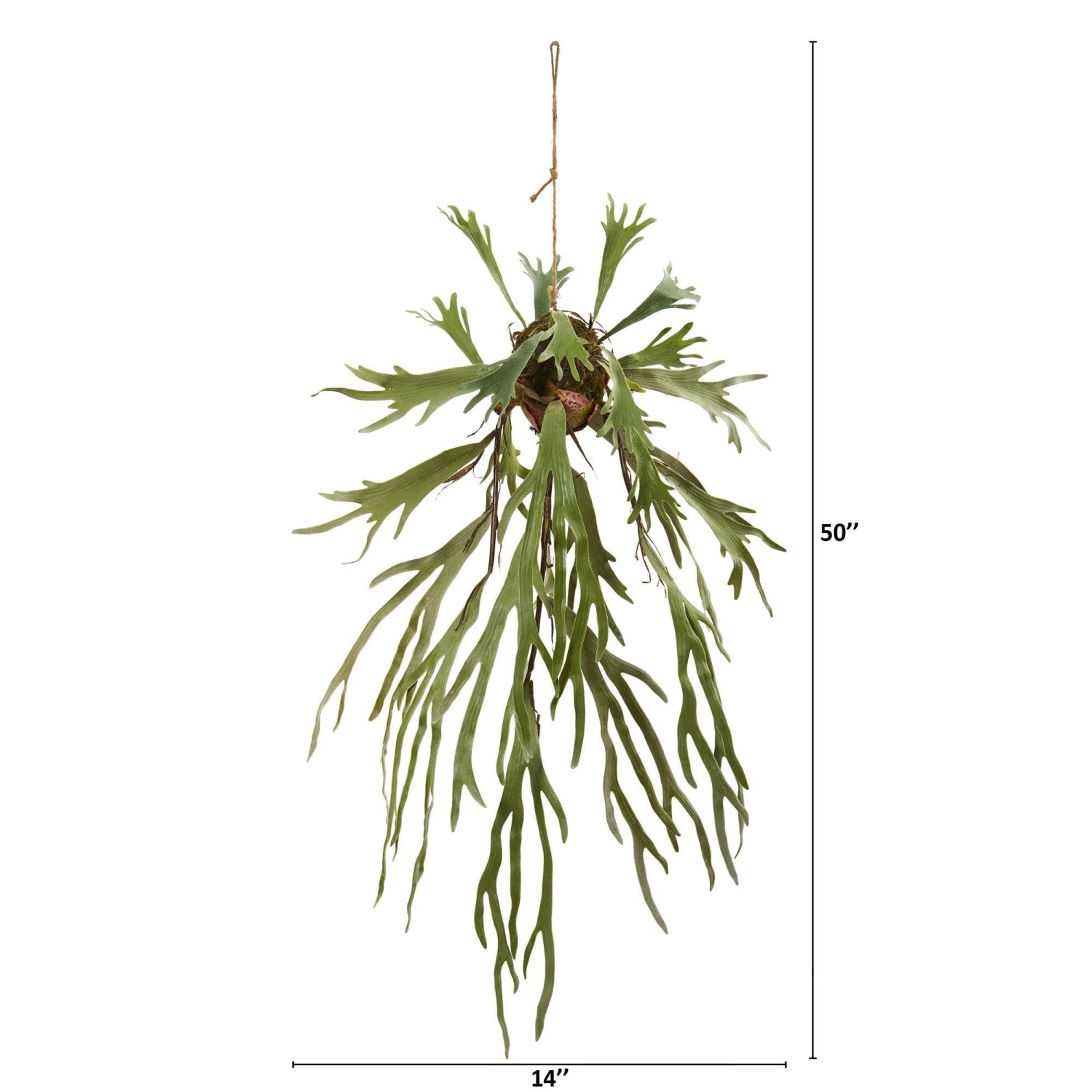 50” Staghorn Artificial Hanging Plant 2 50” Staghorn Artificial Hanging Plant - Image 2