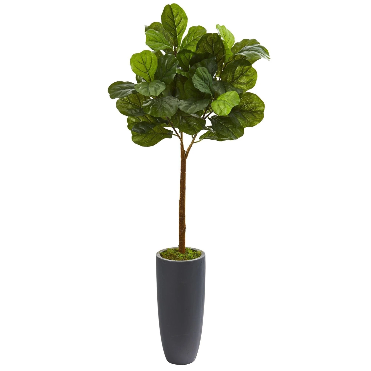 51” Fiddle Leaf Artificial Tree In Gray Planter (Real Touch) 1 51” Fiddle Leaf Artificial Tree In Gray Planter (Real Touch)