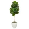 52” Fiddle Leaf Artificial Tree In White Planter