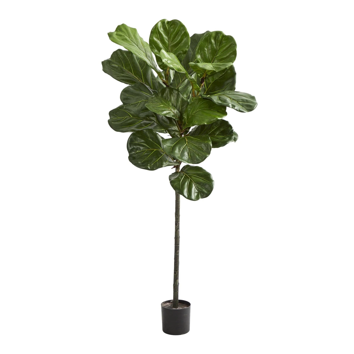 52” Fiddle Leaf Artificial Tree 1 52” Fiddle Leaf Artificial Tree