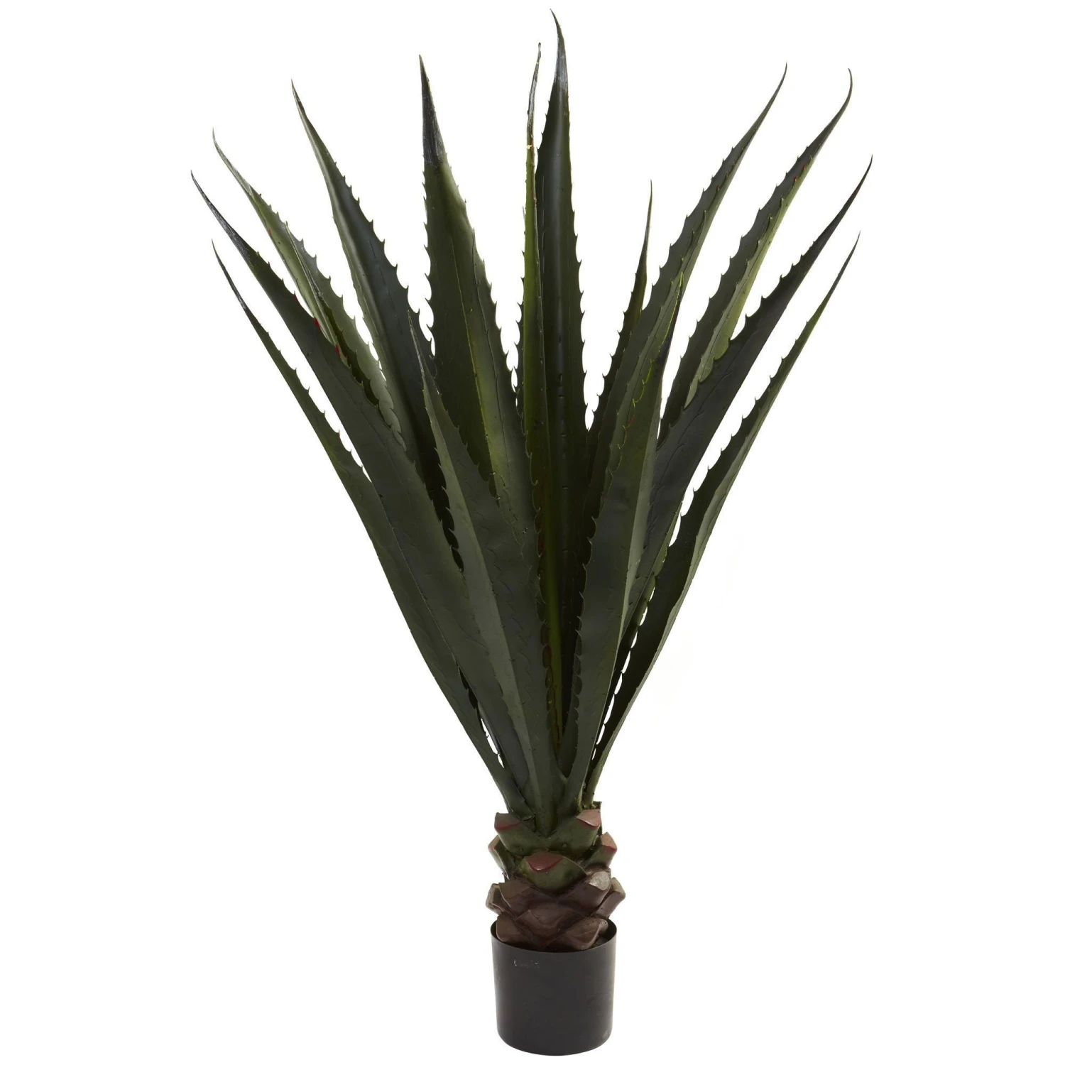 52” Giant Agave Plant 1 52” Giant Agave Plant