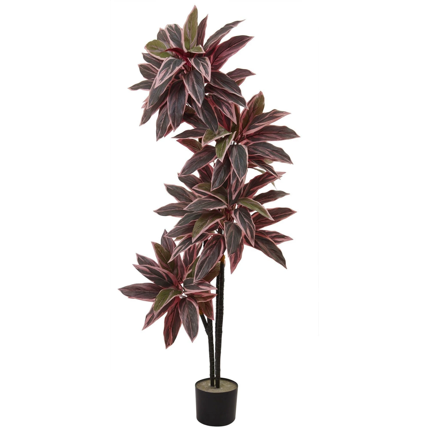 54'' Caladium Silk Plant 1 54'' Caladium Silk Plant