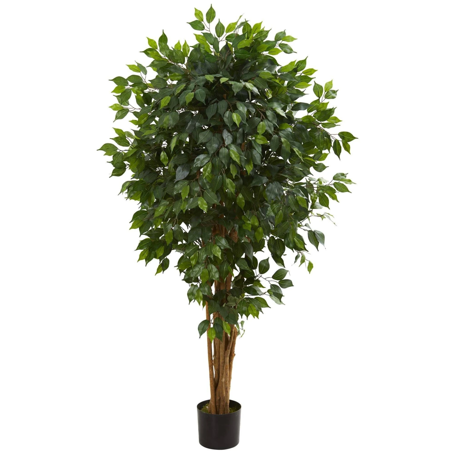 5.5’ Artificial Ficus Tree Bunched Trunks 1 5.5’ Artificial Ficus Tree Bunched Trunks