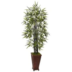 5.5’ Black Bamboo Tree In Decorative Planter
