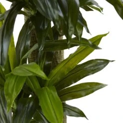 5.5’ Corn Stalk Dracaena With Black Wash Planter -Artificial Trees Store artificial 55 corn stalk dracaena with black wash planter nearly natural 619316