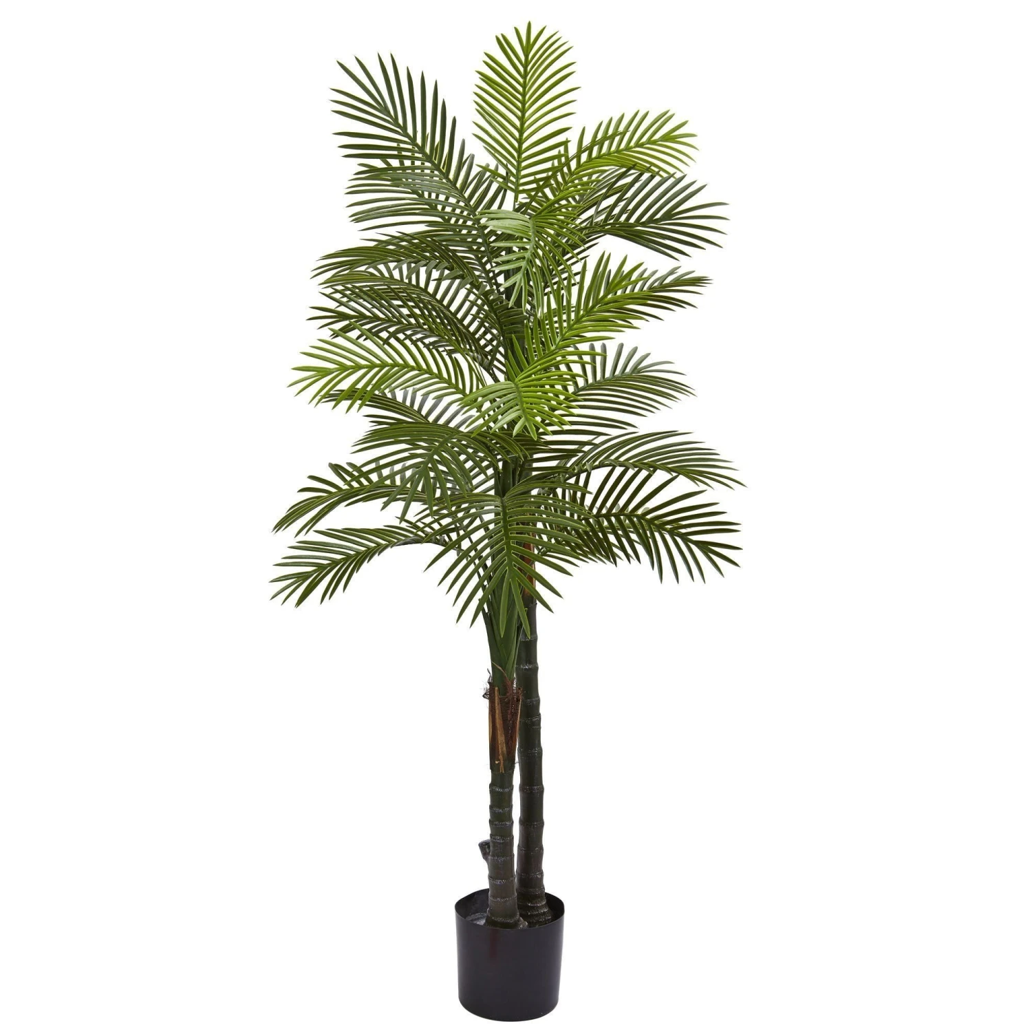 5.5’ Double Robellini Palm Tree UV Resistant (Indoor/Outdoor) 1 5.5’ Double Robellini Palm Tree UV Resistant (Indoor/Outdoor)