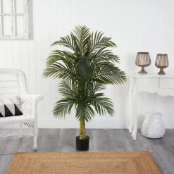 5.5’ Double Robellini Palm Tree UV Resistant (Indoor/Outdoor) 7 5.5’ Double Robellini Palm Tree UV Resistant (Indoor/Outdoor) -Artificial Trees Store artificial 55 double robellini palm tree uv resistant indooroutdoor nearly natural 832261