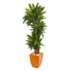 5.5’ Dracaena Plant In Orange Square Planter (Real Touch)